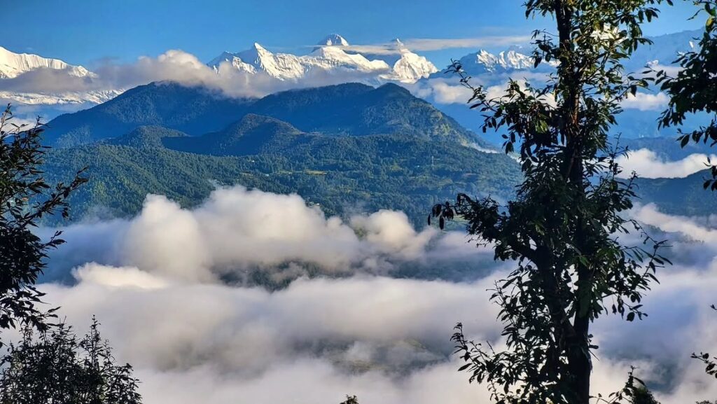 chaukori pithoragarh